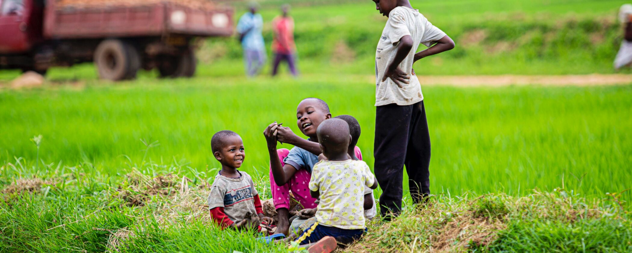 A group of children sitting in grass.